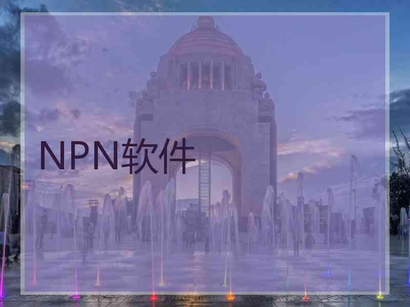 NPN软件