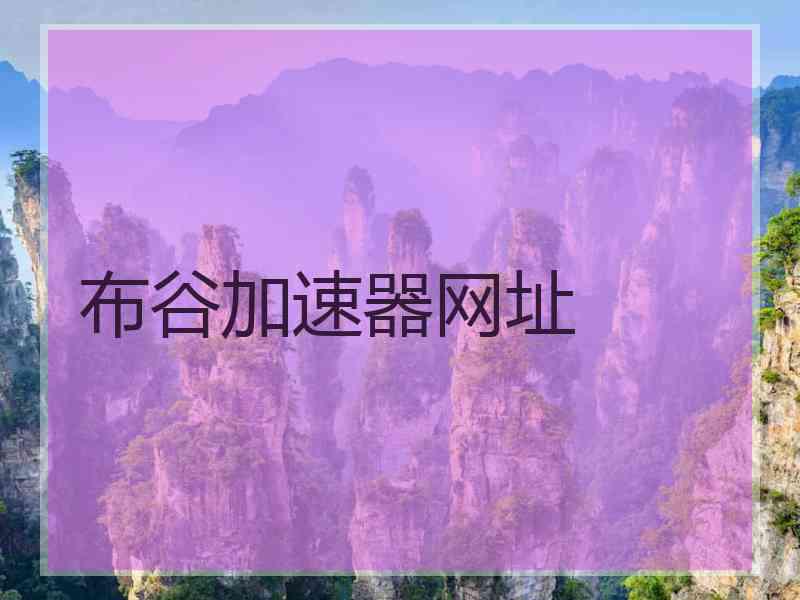 布谷加速器网址