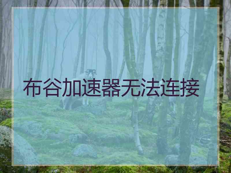 布谷加速器无法连接