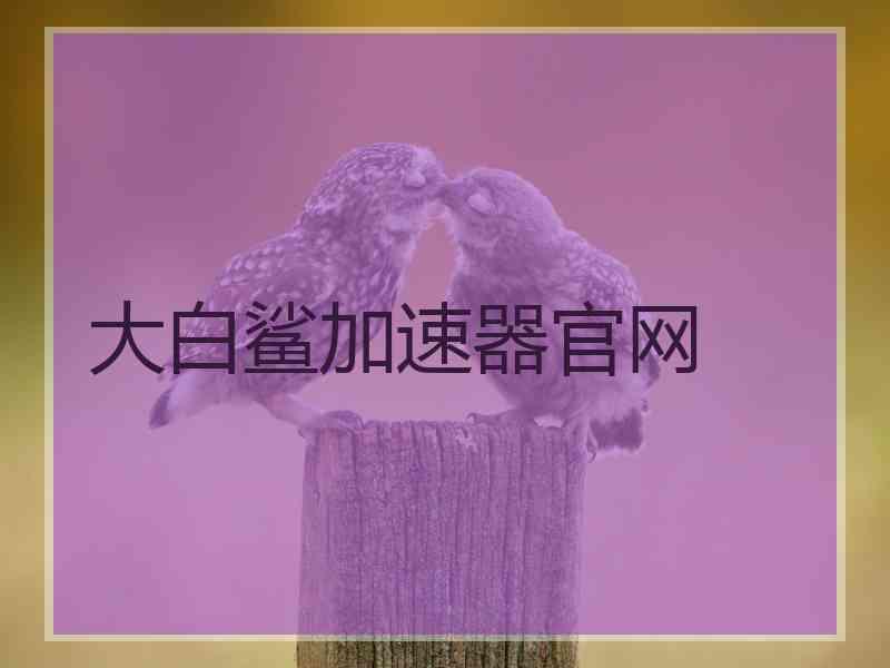 大白鲨加速器官网