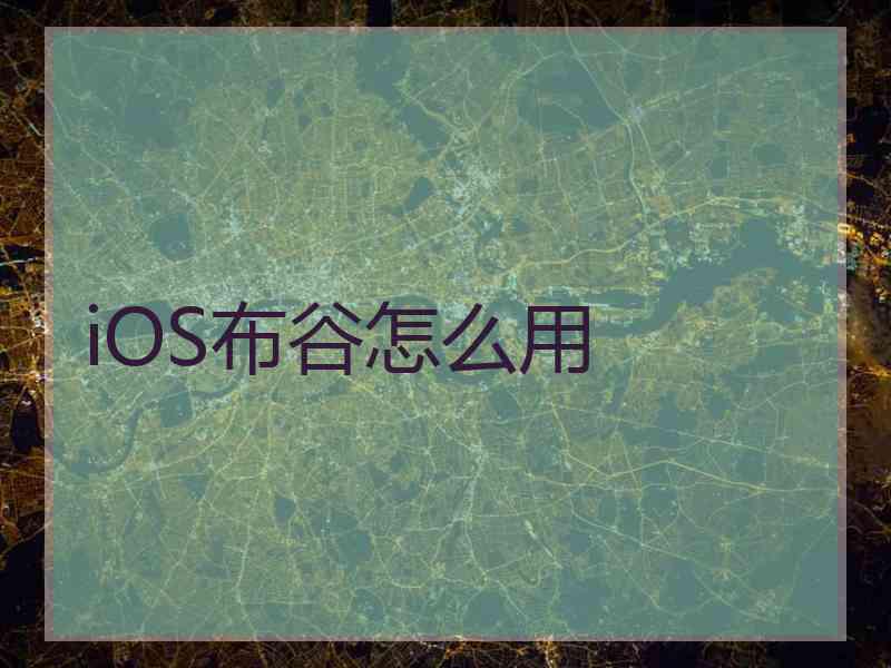 iOS布谷怎么用