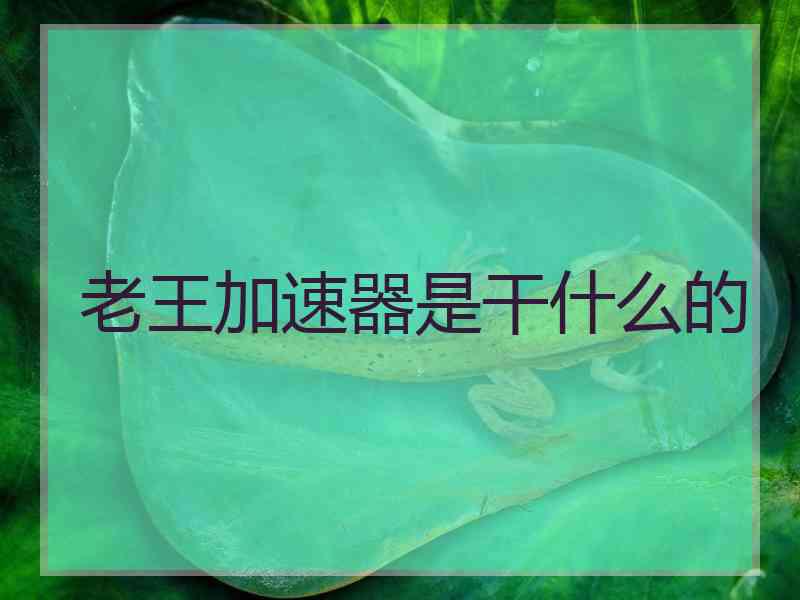 老王加速器是干什么的