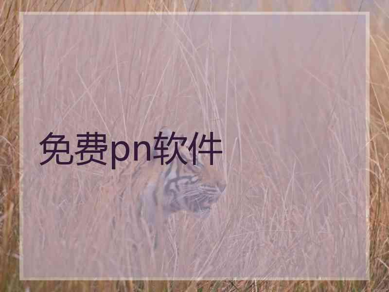 免费pn软件