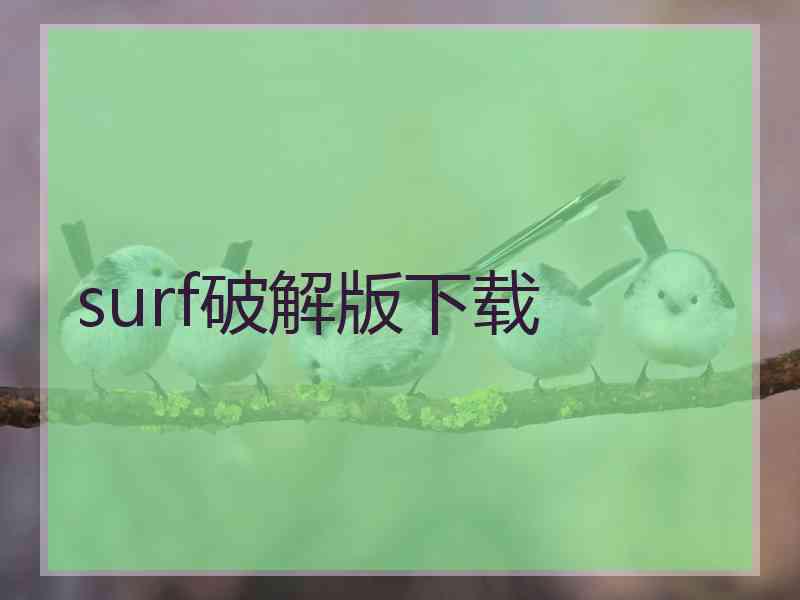 surf破解版下载