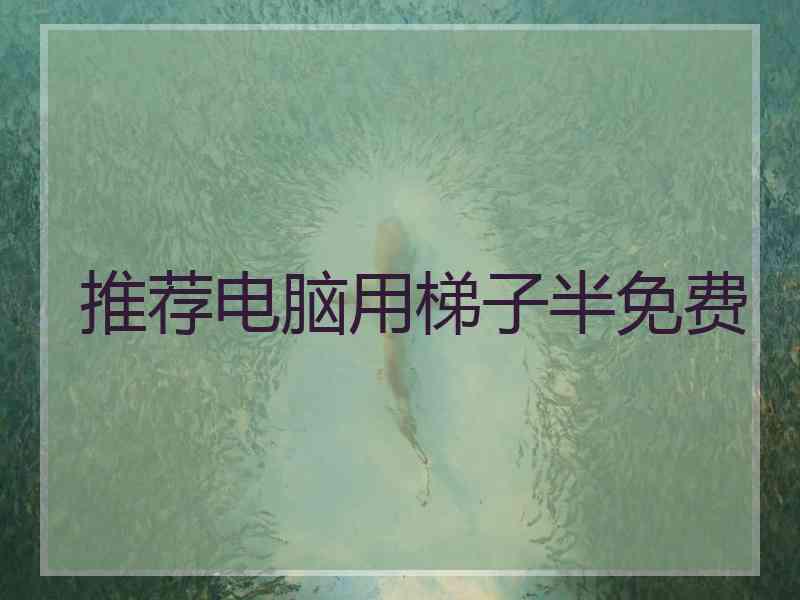 推荐电脑用梯子半免费