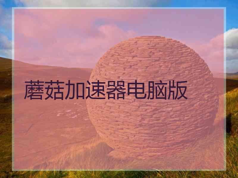 蘑菇加速器电脑版