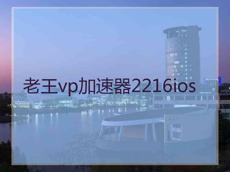 老王vp加速器2216ios