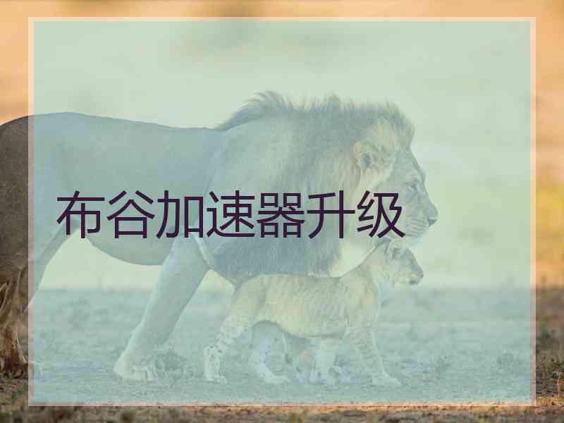 布谷加速器升级