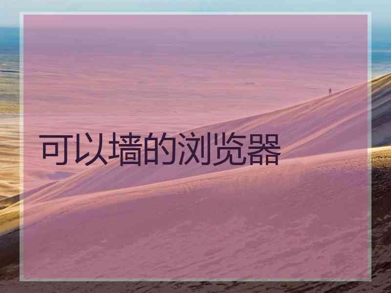 可以墙的浏览器