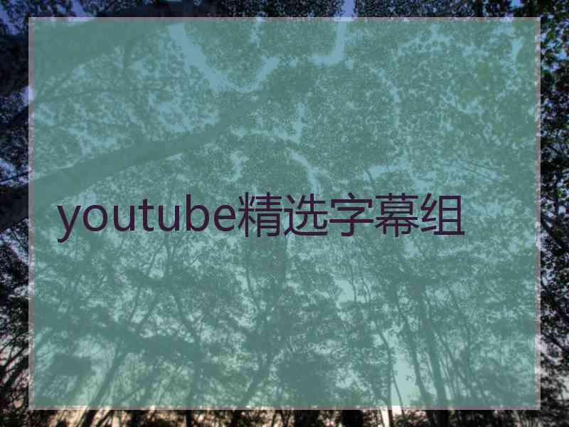youtube精选字幕组