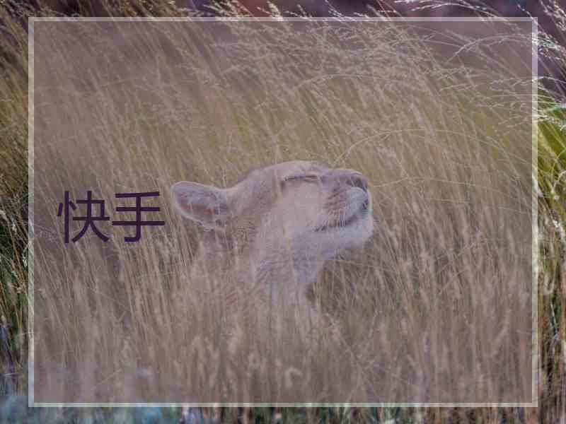 快手