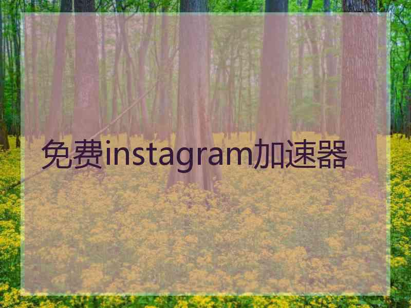 免费instagram加速器