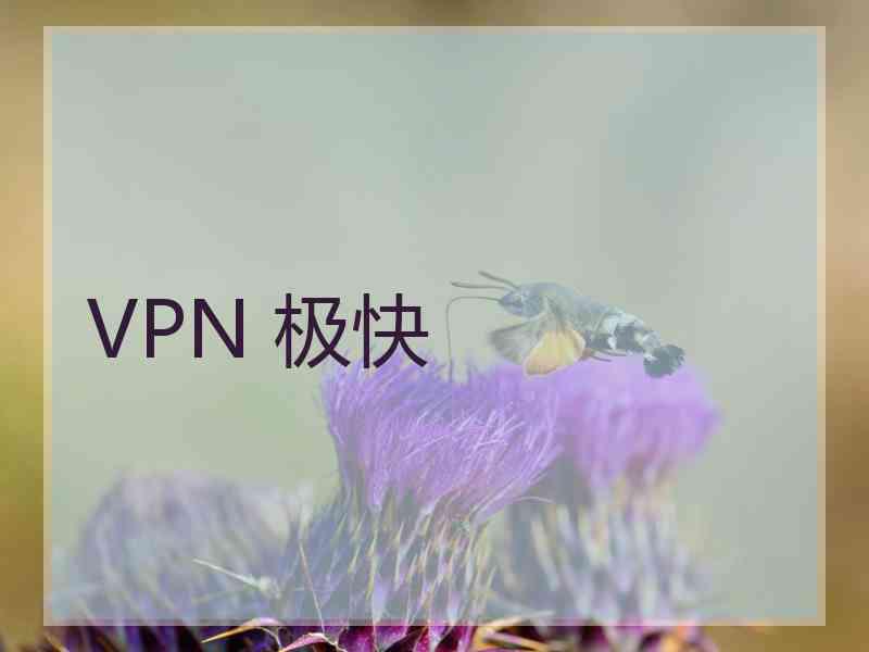 VPN 极快