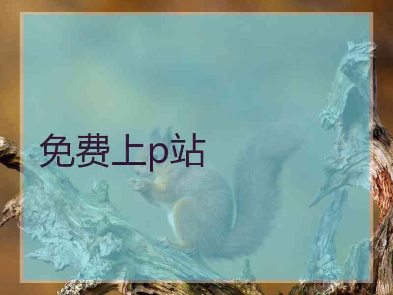 免费上p站