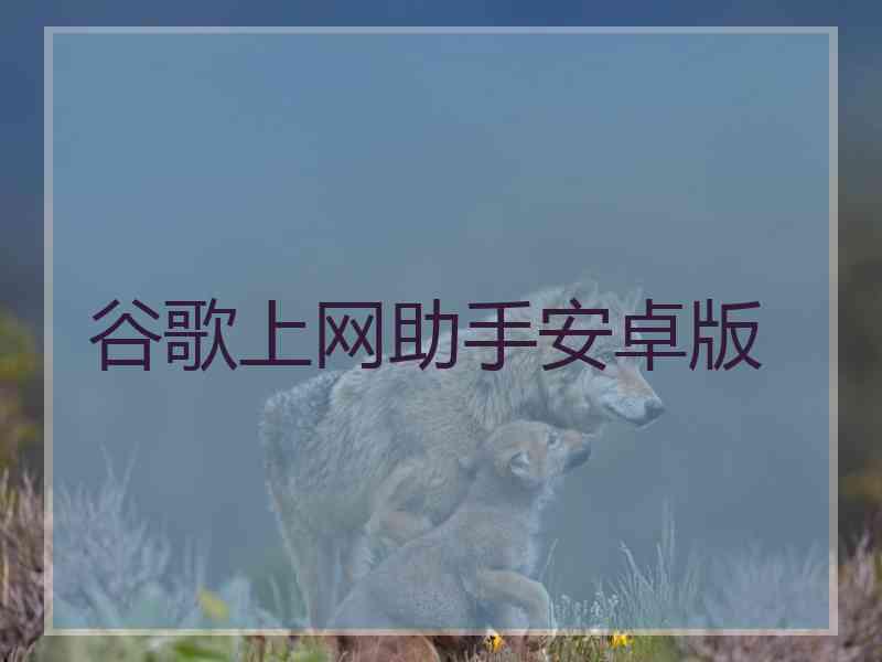 谷歌上网助手安卓版