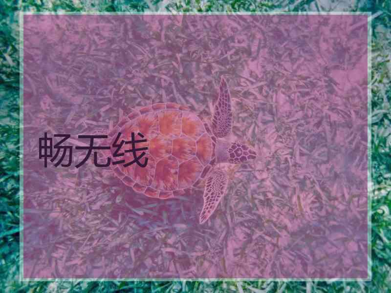 畅无线