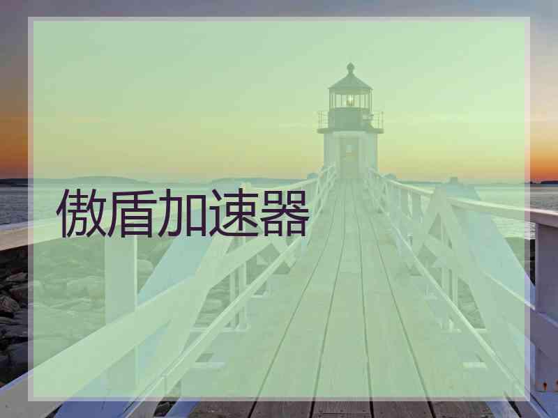 傲盾加速器