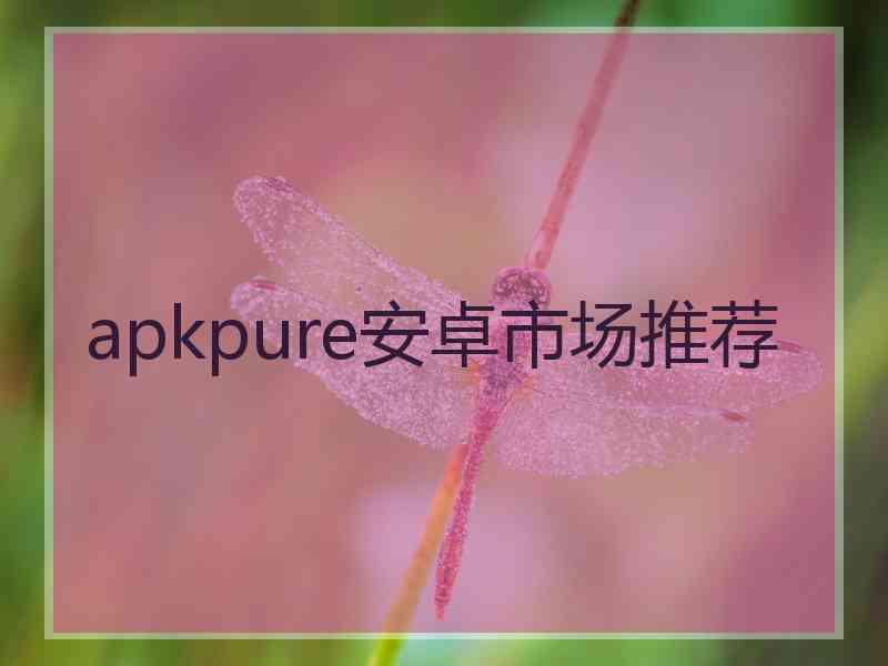 apkpure安卓市场推荐