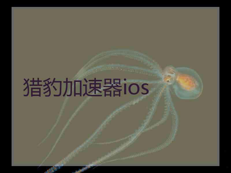 猎豹加速器ios