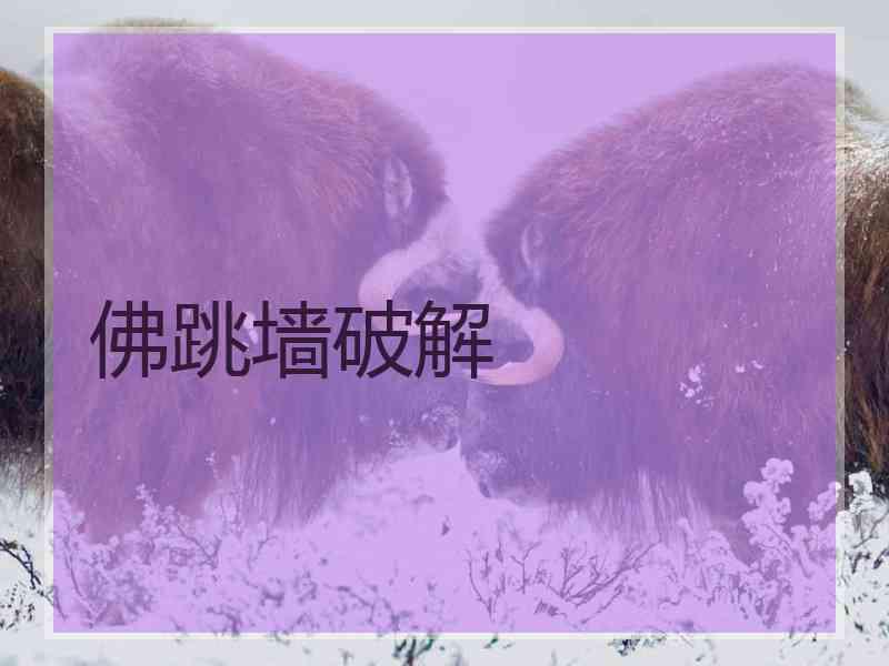 佛跳墙破解