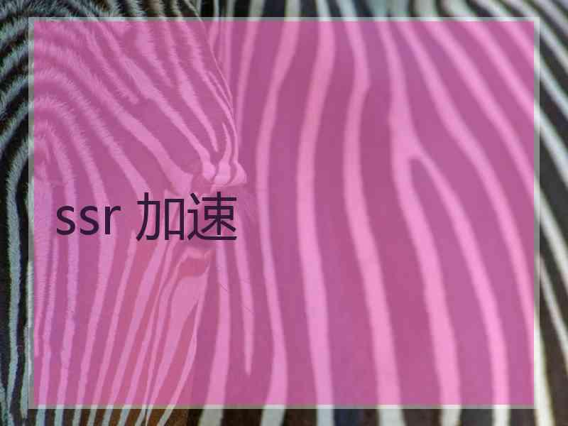 ssr 加速