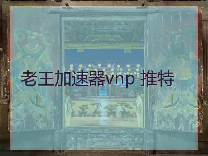 老王加速器vnp 推特