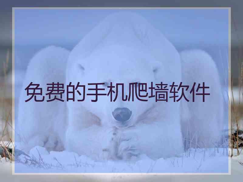 免费的手机爬墙软件
