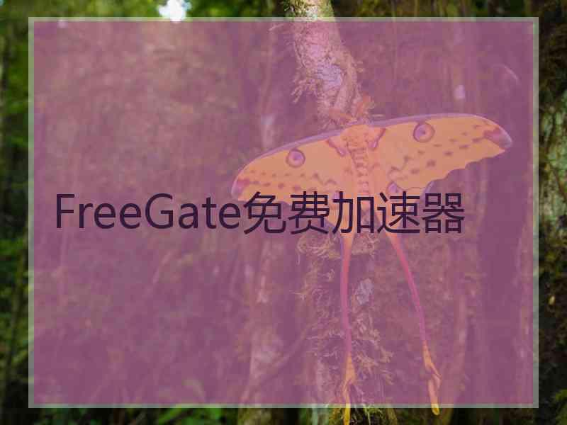FreeGate免费加速器
