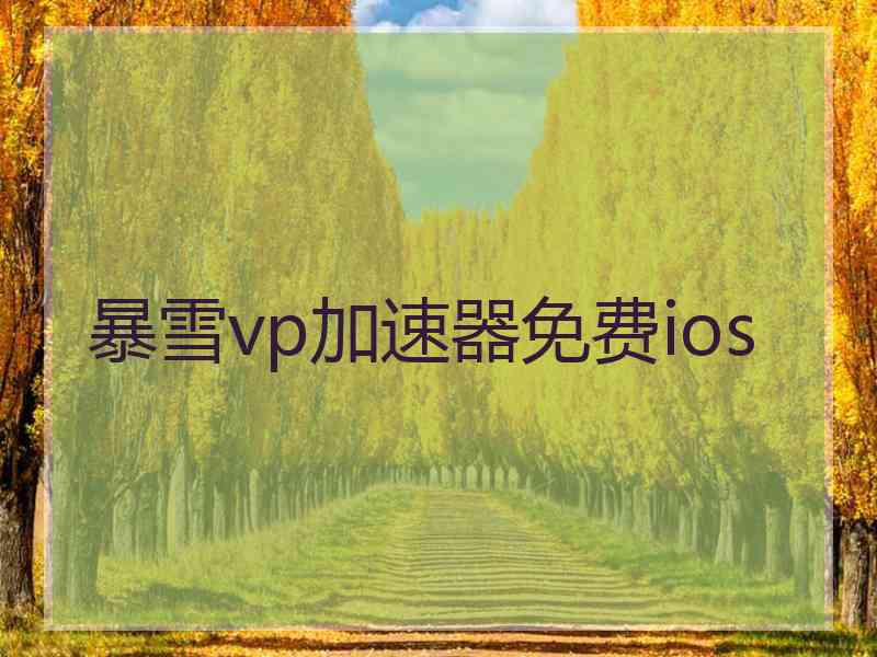 暴雪vp加速器免费ios