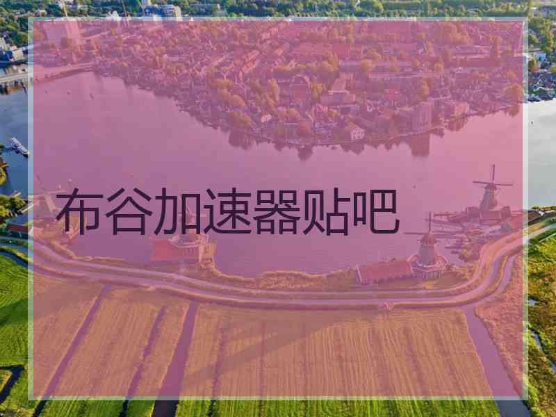 布谷加速器贴吧