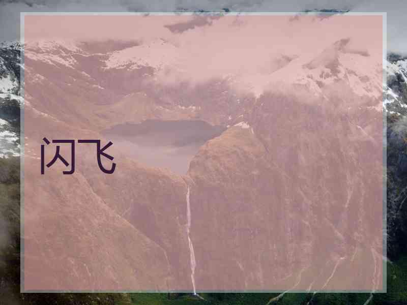 闪飞