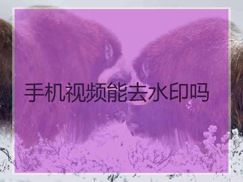 手机视频能去水印吗