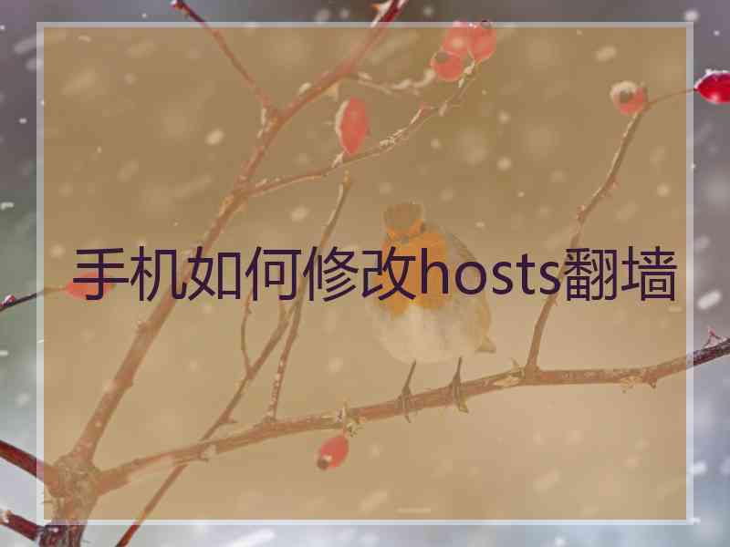 手机如何修改hosts翻墙