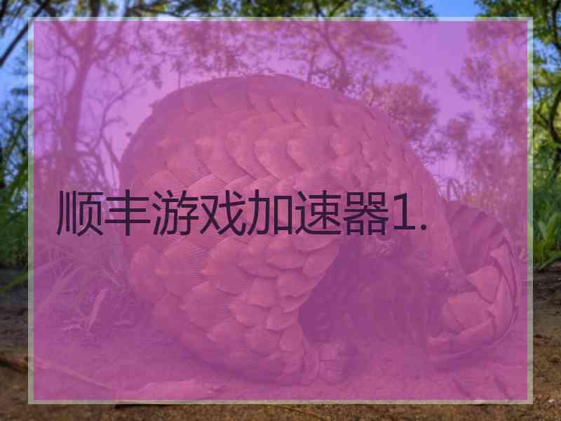 顺丰游戏加速器1.
