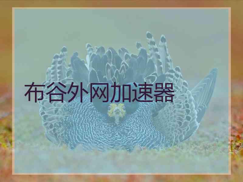 布谷外网加速器