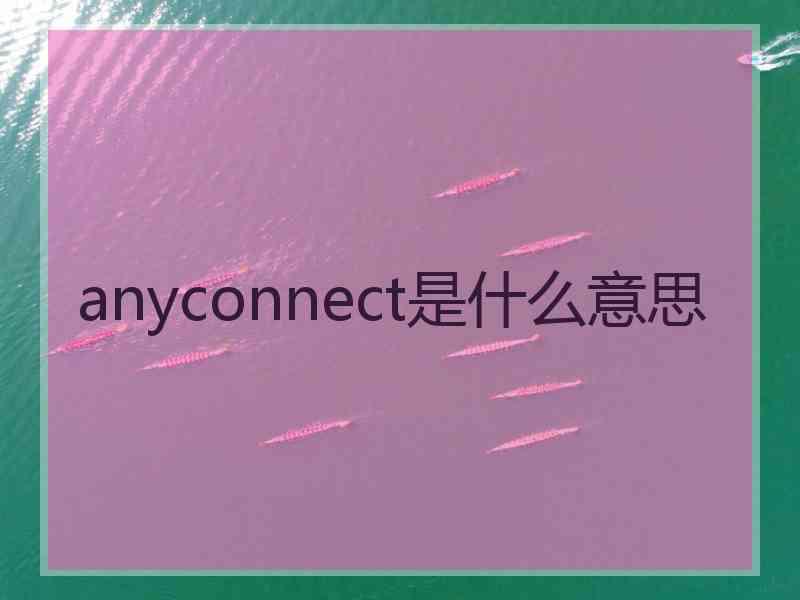 anyconnect是什么意思