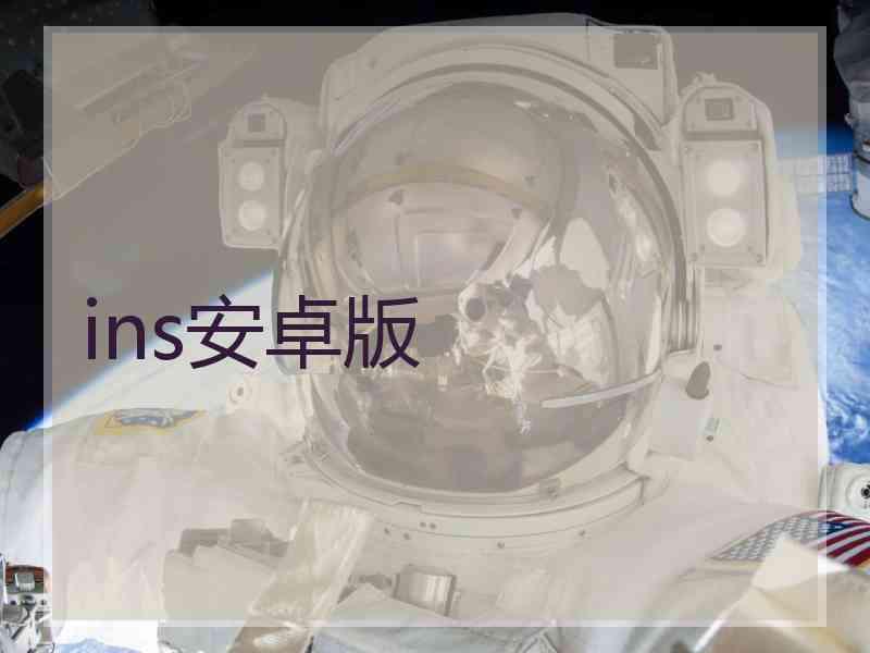 ins安卓版