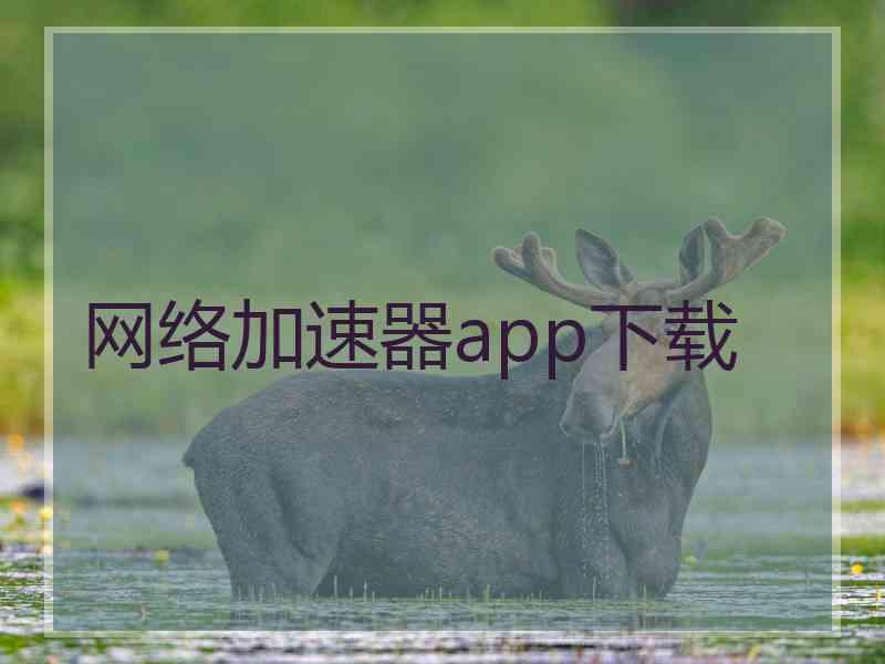 网络加速器app下载