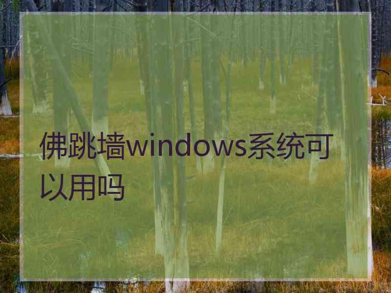 佛跳墙windows系统可以用吗
