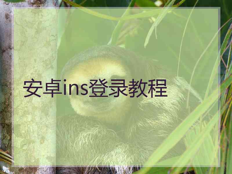 安卓ins登录教程