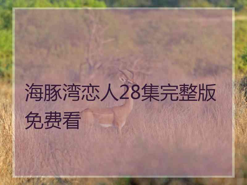 海豚湾恋人28集完整版免费看