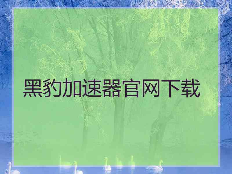 黑豹加速器官网下载