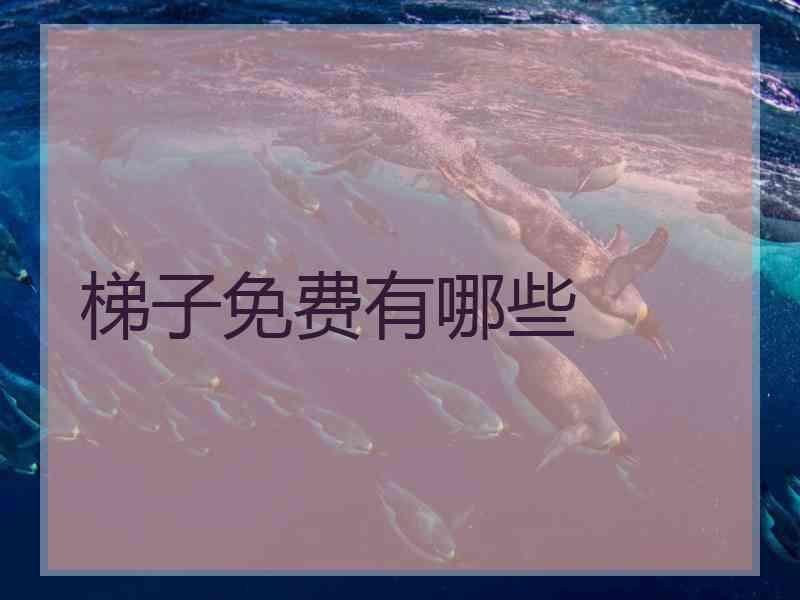 梯子免费有哪些
