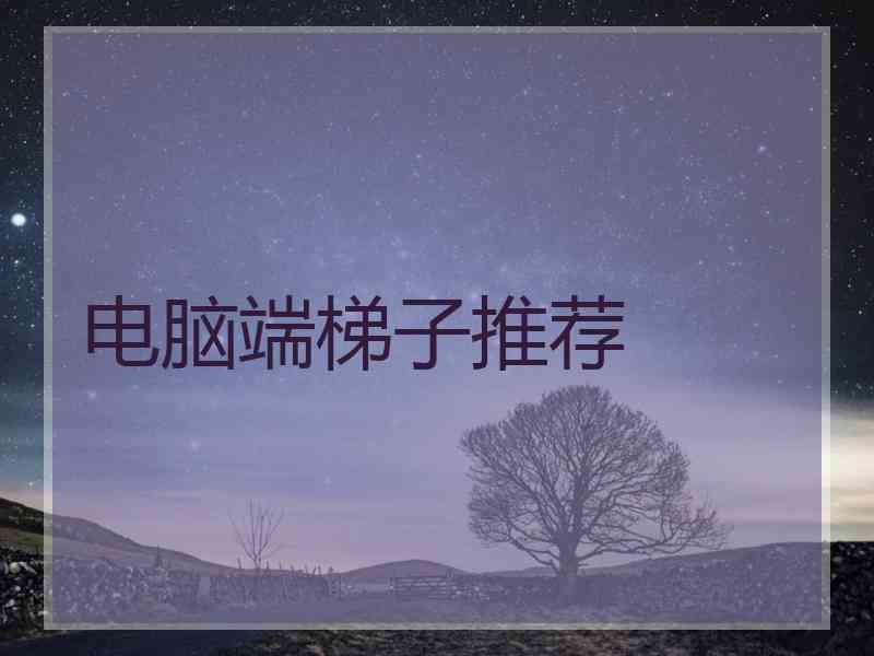 电脑端梯子推荐