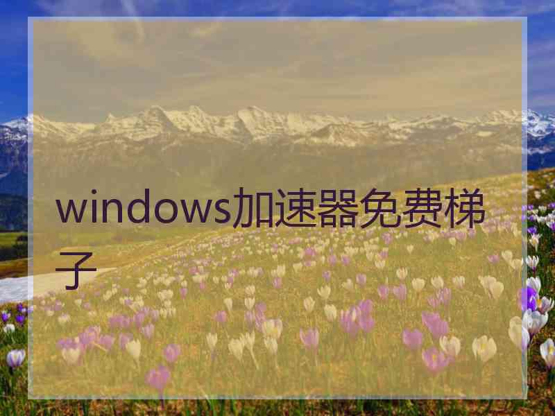 windows加速器免费梯子