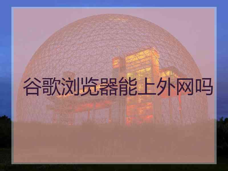 谷歌浏览器能上外网吗