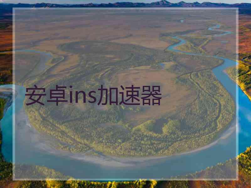 安卓ins加速器