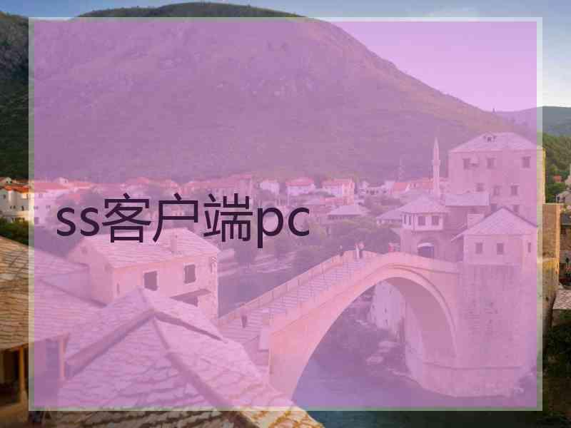 ss客户端pc
