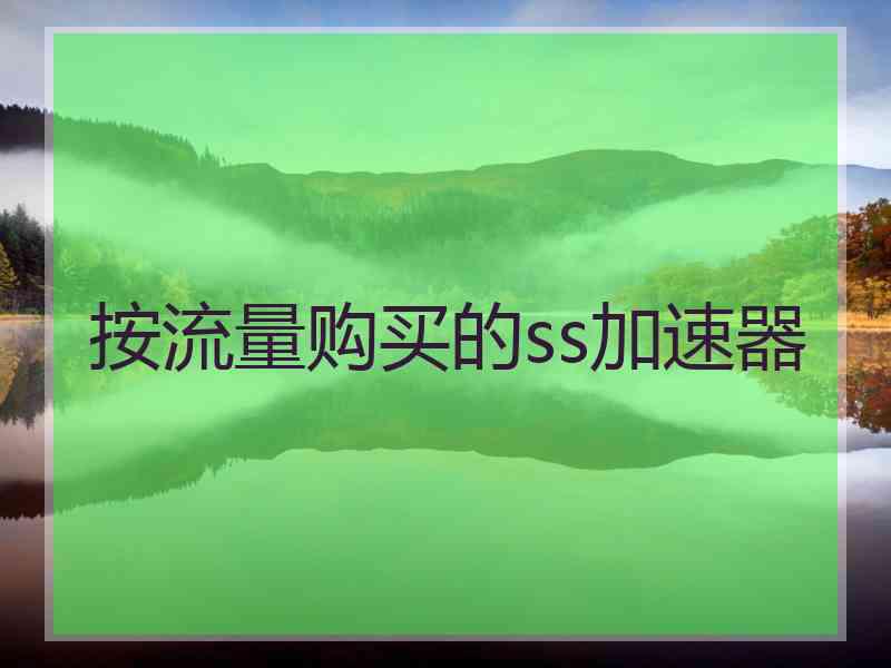 按流量购买的ss加速器