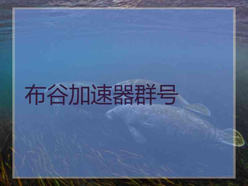 布谷加速器群号